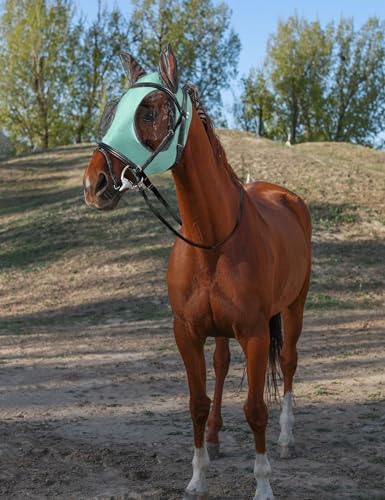 Horse Fly Mask with Ears, Fly Mask for Horses, Breathable Mesh