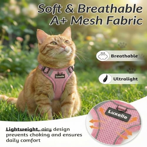 Luxelle Escape-Proof Cat Harness and Leash Set – Adjustable No Pull Soft Vest with 360° Reflective Straps, Built-in Pocket & Wrist Strap, Breathable Mesh Outdoor Harness for Cats & Kittens