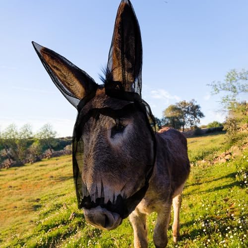 2 Pcs Mini Donkey Fly Mask with Ear Protection, Black