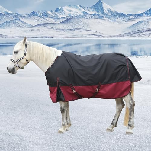 1200D Horse Blanket, 200g Medium Weight Waterproof Winter Turnout