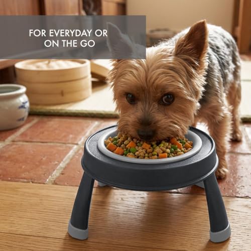 Dexas Pets Elevated Pet Feeder, Small, 1.5 Cup Capacity, Light Gray, Raised Pet Food and Water Bowl