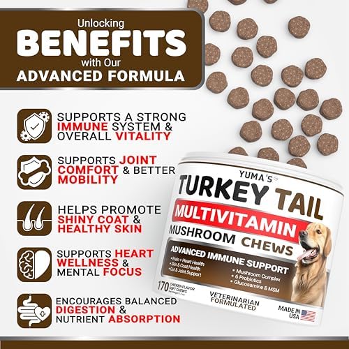 (2 Pack) Turkey Tail Mushroom for Dogs - 340 Ct - Mushroom Chews for Dogs
