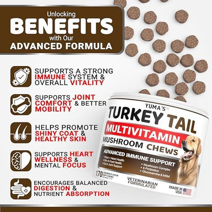 (2 Pack) Turkey Tail Mushroom for Dogs - 340 Ct - Mushroom Chews for Dogs