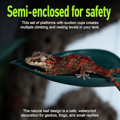 5pcs Crested Gecko Tank Accessories, Wall Climbing Gecko,3pcs Grass Green Leaf Decorations and 2pcs Purple Feeding Spoons,Gecko Tank Accessories for Reptile Terrariums