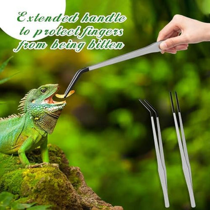 Lasnten 2 Pcs Extra Long Stainless Steel Reptile Feeding Tongs with Rubber Tip 15 Inch Bearded Dragon Aquarium Straight and Curved Long Tweezer Terrarium Feeder Tool for Tank(Silver)