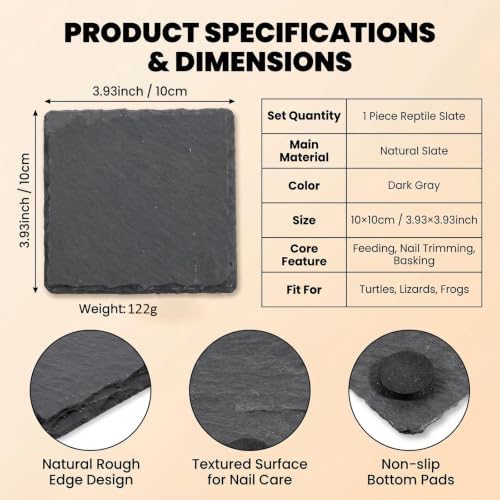 3.9 Inch Square Reptile Basking Platform Slate, Rock Feeding Slate Tile Habitat for Reptiles, Bearded Dragon Basking Resting Platform for Tortoise Lizard Gecko