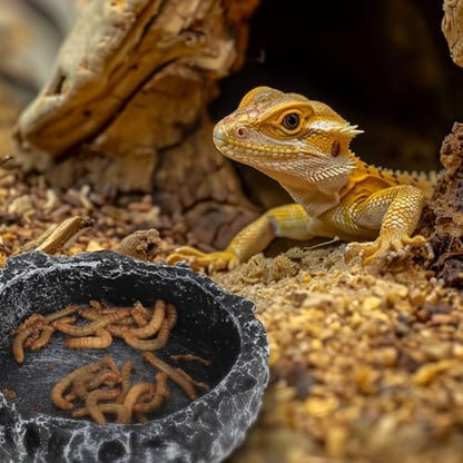 Reptile Water Dish Food Bowl for Bearded Dragon Tank Accessories, Reptile Rock Feeder for Tank 2 Pack Corner Resin Terrarium Bowl for Leopard Gecko Hermit Crab Tortoise Snake, Black