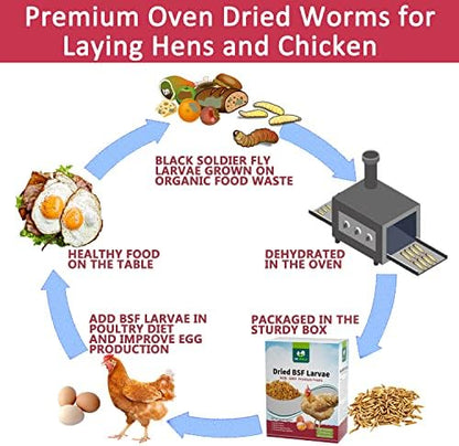 DE AVILA Dried Black Soldier Fly Larvae for Chickens, BSFL High Calcium Treat 10LB