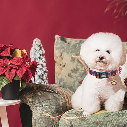 Dog Collar - Christmas Holiday Pet Collar, Red and Blue Plaid Print, Durable, Cute, Soft, Adjustable for Medium Dogs