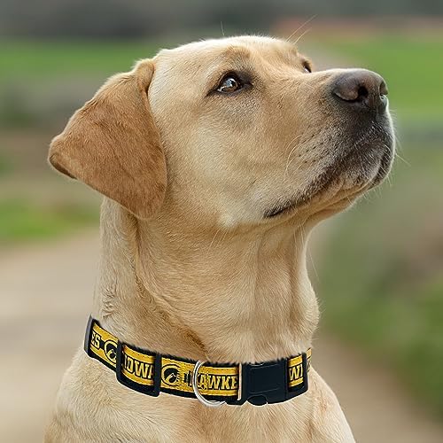 Pets First Collegiate PET Collar New Version Iowa Hawkeyes Dog Collar, Size Small. Best Sports Team Color for Dogs & Cats. A Shiny & Colorful Dog & Cat Collar Licensed by The NCAA