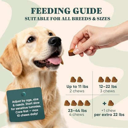 Dog Allergy Chews Omega 3 is Human,Itch Relief Multivitamin Medicine for Dogs Itching Skin Relief and Aller Immune Pet Allergy Dog Anti Itch Chews Pills Meds Medicine for Dogs Chicken Flavor