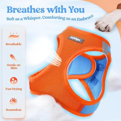rabbitgoo Dog Harness Medium Sized and Leash Set, Step-in Puppy Pet Vest