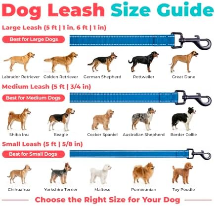 Best Pet Supplies Voyager Nylon Dog Leash - 6ft Royal Blue, Large