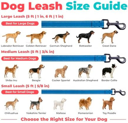 Best Pet Supplies Voyager Nylon Dog Leash - 6ft Royal Blue, Large
