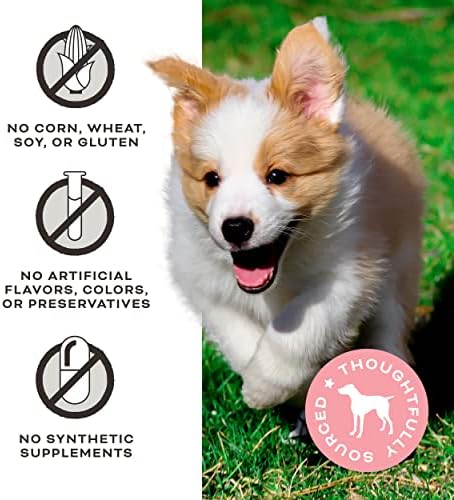 Primal Freeze Dried Dog Treats, Chicken & Pumpkin, 2 oz