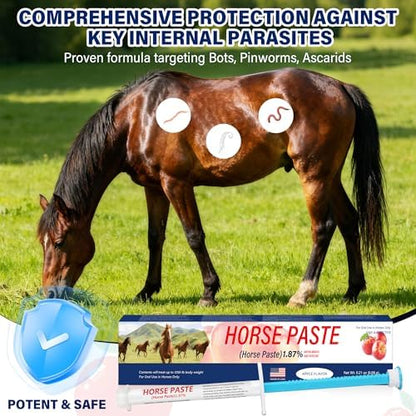 6 Pack Equine Paste 1.87% – (6.08g Each) Apple Flavored Oral for Horse