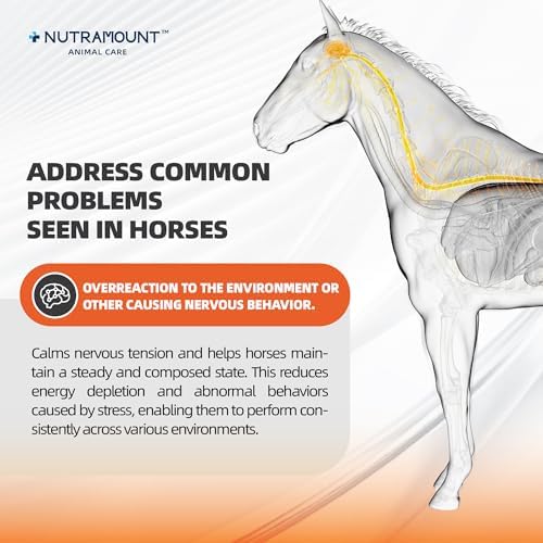 Horse Taurine Supplement Powder for Performance & Nerve Support | Equine Taurine with Magnesium for Focus, Muscle & Stress Balance | Daily Feed Powder 15-Day Supply