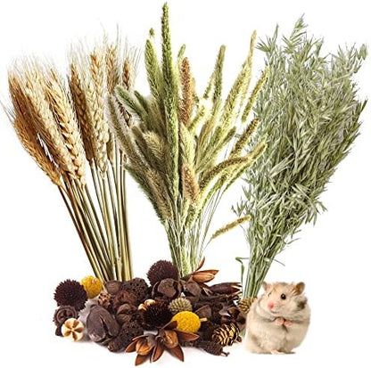 Natural Grain Flower&Herb Hamster Habitat Cage Accessories Bedding Decor