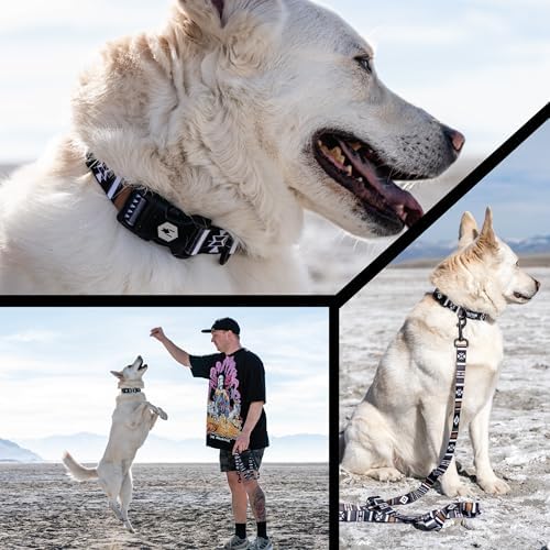 Wolfgang Wide Venture Dog Collar Newmoon Print Large