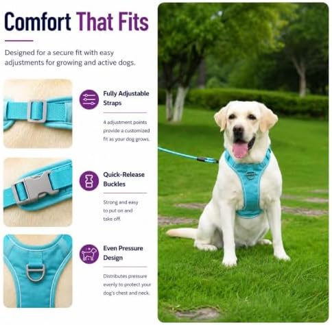 PawWave No Pull Dog Harness with Built-in Hidden AirTag & GPS Tracker Holder, Reflective Adjustable Escape-Proof Vest Harness for Small & Medium Dogs (Blue, S)