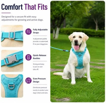 PawWave No Pull Dog Harness with Built-in Hidden AirTag & GPS Tracker Holder, Reflective Adjustable Escape-Proof Vest Harness for Small & Medium Dogs (Blue, S)