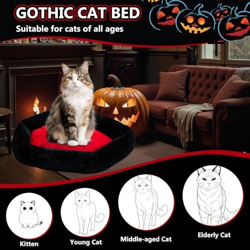 Gothic Coffin Cat Bed for Large Cats, Washable, Size: Large