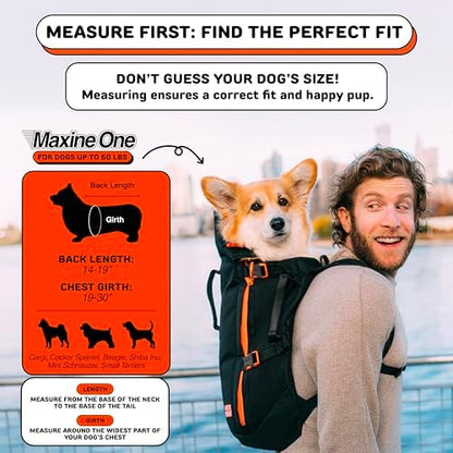 Little Chonk Maxine One Dog Backpack Carrier for Medium Dogs (Gray)
