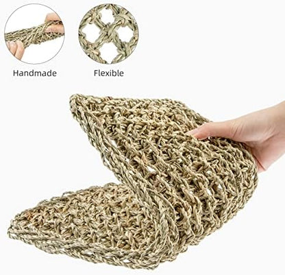 Niteangel Bearded Dragon Seagrass Hammock: Rectangle 16"x 8" & Suction Cups