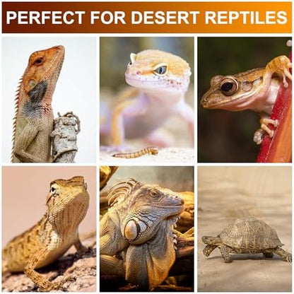 UVB Reptile Light Bulb 10.0, 5W LED High Intensity UV Replacement Lamp Bulbs for Desert Reptiles Bearded Dragons Lizard Tortoise Iguanas Chameleons Snake - 1 Pack