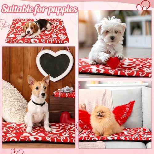 2 Pack Valentine Self Warming Cat Mats Red White Heart Reflects Body Heat Self Heating Bed Machine Washable Thermal Pet Pad with Non Slip Bottom 18 x 24 Inch for Winter Indoor Kitten Dog Crate
