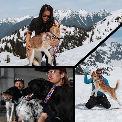 Wolfgang Heavy Duty Adjustable Dog Harness, Pull-Tested to Over 800 lbs for Walking & Training, Quetzal Print, Large | Heavy Duty Adjustable, Pull-Tested for Walking & Training