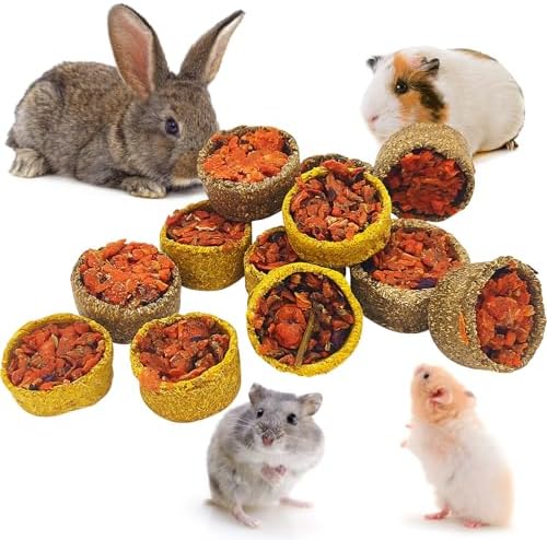 Apatal12 Pcs Rabbit Chew Toys Guinea Pig Treats