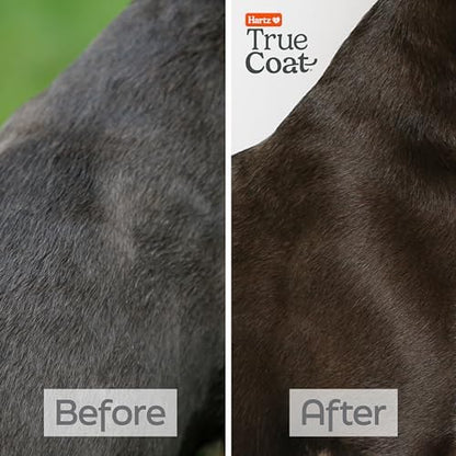 True Coat Short & Smooth Coat Dog Shampoo, 5 in 1 Soothes & Shines with Oat Milk, Coconut Oil & Vitamin E, 16 oz