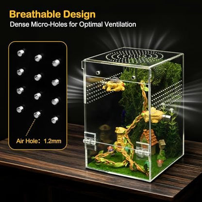 Jumping Spider Enclosure Starter Kit,Escape Proof Forest Terrarium