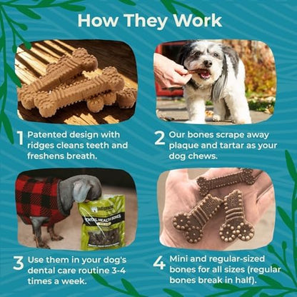 Indigenous Pet Dental Health Bones Regular 2 Pack – Smoked Bacon (17 Ounce x 2) | Grain-Free Dog Chews with Prebiotics & Omegas | Freshens Breath, Supports Digestive, Skin & Coat Health |