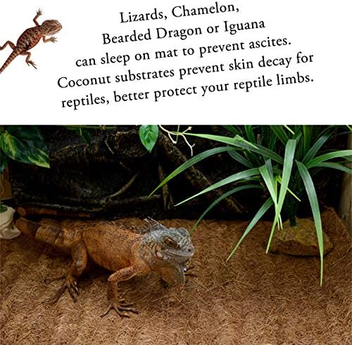 Reptile Carpet Natural Coconut Fiber, 36" x 18" Tortoise Carpet Mat for Pet Terrarium Liner, Reptile Bedding Supplies for Lizard, Snake, Chameleon, Turtle, Bearded Dragon (2 Pack)