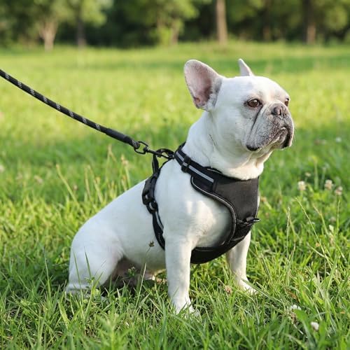 Amazon Basics No-Pull Dog Harness, Soft Padded Adjustable Vest with Reflective Stripes, Sturdy, Small, Black
