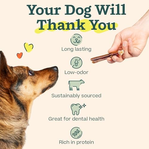 WOOF Bully Sticks Dog Chew Treats, 12 Inch, 25 Count