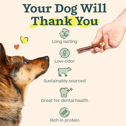 WOOF Bully Sticks Dog Chew Treats, 12 Inch, 10 Count
