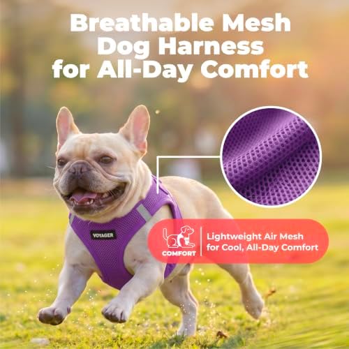 Voyager Step-in Air Dog Vest Harness - Purple, Medium
