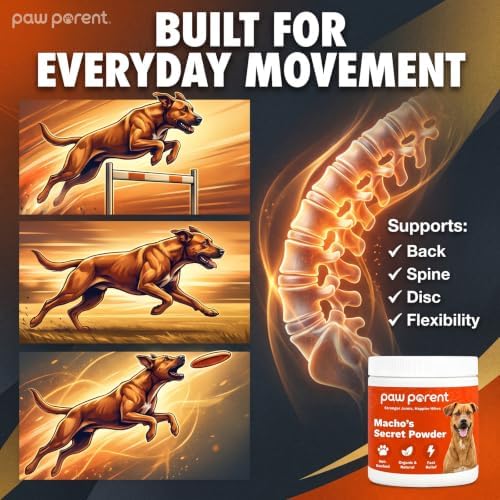 Paw Parent Macho's Secret Powder, Green Lipped Mussel Hip & Joint Powder for Dogs, Spine and Disc Powders, Cardiac Shield Formula with Glucosamine, Msm & Omega-3 for Mobility Support，2Pc