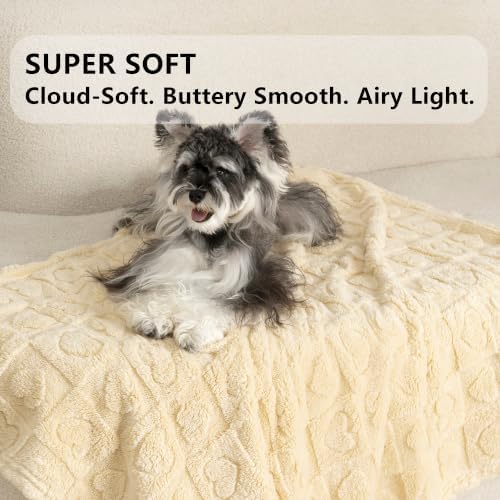 gogobunny Large Pet Blanket for Dogs Cats, Ultra Soft 300GSM Coral Fleece Washable Furniture Protector for Couch Bed Car Seat, Calming Crate Mat Blanket for Large Breeds, Beige, 60x80IN