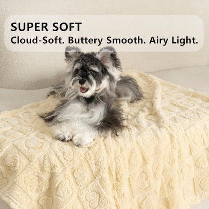 gogobunny Large Pet Blanket for Dogs Cats, Ultra Soft 300GSM Coral Fleece Washable Furniture Protector for Couch Bed Car Seat, Calming Crate Mat Blanket for Large Breeds, Beige, 60x80IN