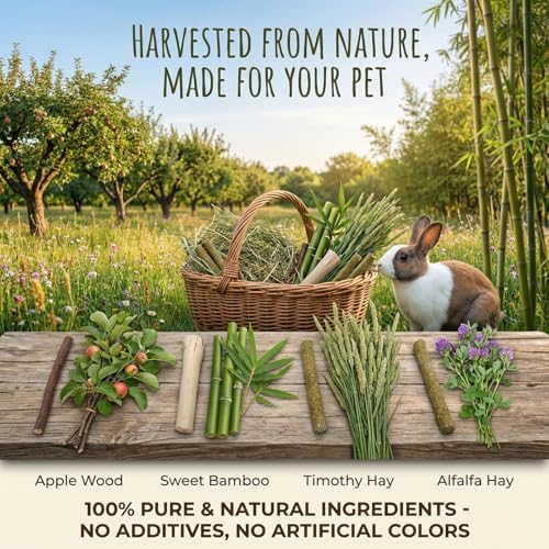 4 in 1 Natural Bunny Chew Toys Sticks Rabbit Treat Apple Hay Bamboo