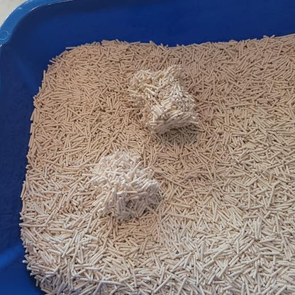 EcoLeo Plant Based Pea Husk Cat Litter – 100% Natural, Dust-Free, Unscented, Clumping, Odor Control, Low Tracking, Micro Pellets Litter for Multi-Cat Homes