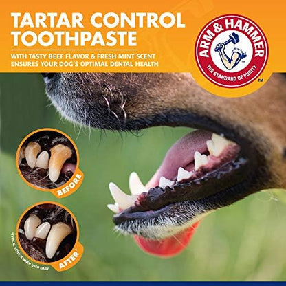 Arm & Hammer Tartar Control Enzymatic Dog Toothpaste, Beef Flavor, 2.5 Oz