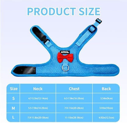 AIITLE Breathable Rabbit Harness and Leash Set with Cute Bow, Blue M