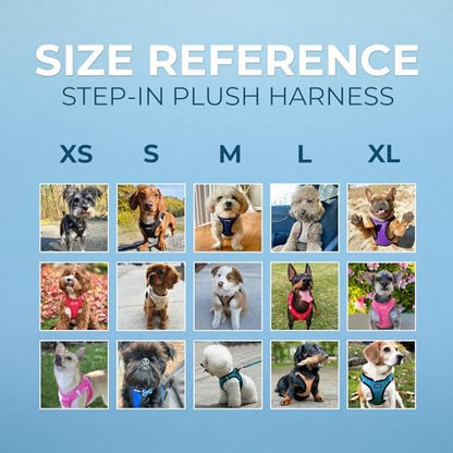 Best Pet Supplies Voyager Step-in Plush Dog Harness - Soft, Step in Vest Harness and Reflective Dog 5 ft Leash Combo with Neoprene Handle for Small and Medium Dogs, Turquoise Plush, XS
