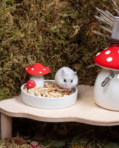 Niteangel Small Animal Snack & Treats - Freeze-Dried Worms & No Additive