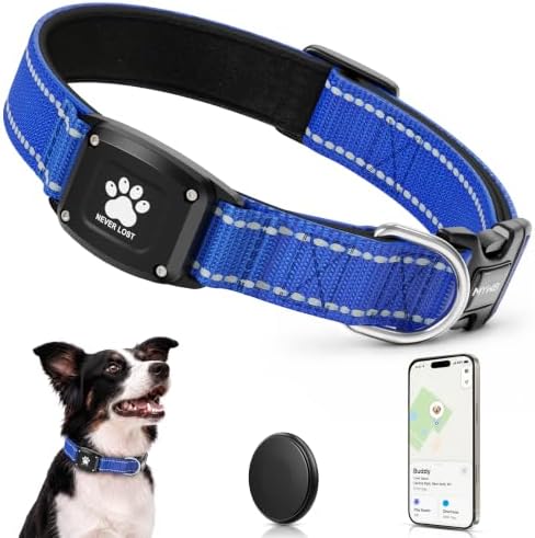 GPS Dog Collar with Tracker, Waterproof, No Monthly Fee, Blue, L